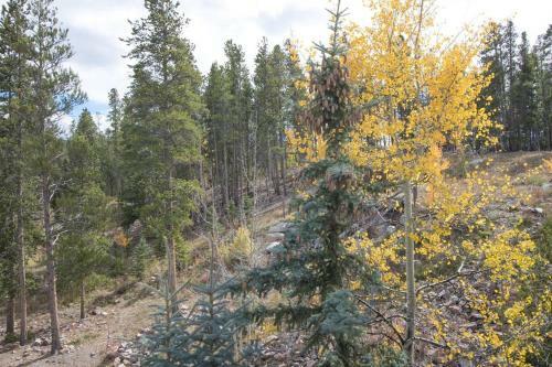 Apartamento Breck Condo - Million Dollar View