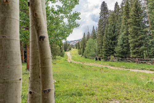 Tyra Summit A1a Ski In Out Great Amenities