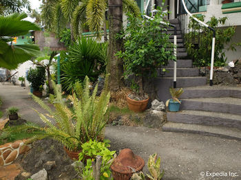 Hotel Turtle Inn Resort