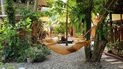 Hostal Roy's Rendezvous Boracay
