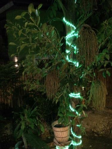 Blue Bamboo Hostel