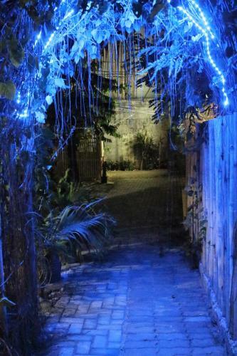 Blue Bamboo Hostel
