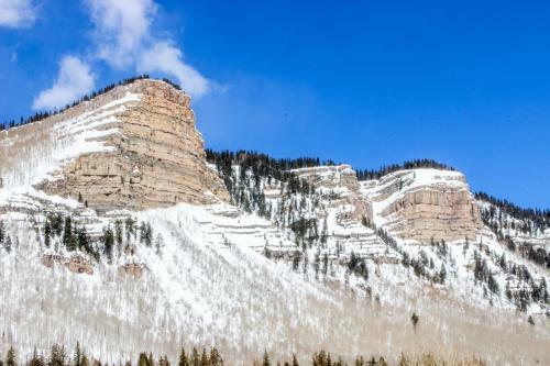 Wildrose Retreat