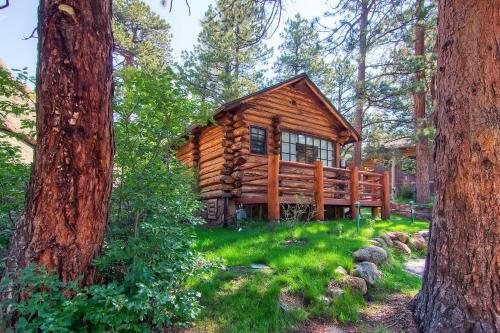 Kathryn's Cabin
