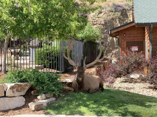 Unit 298 Townhome