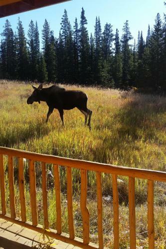 Fairplay Cabin With Mtn Views 25 Mi To Breck!