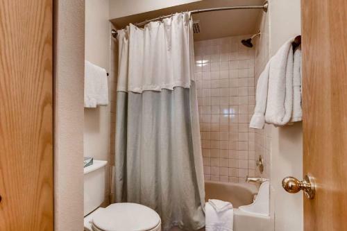 Lakeview Condo Near Lake Dillon