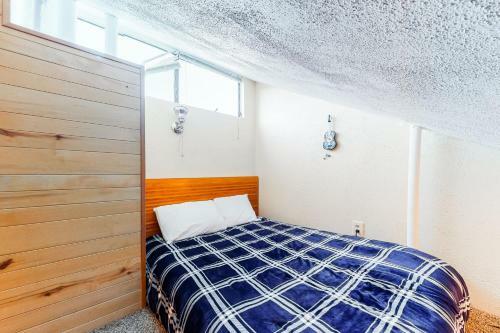 Pitkin Townhome B1