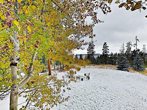 New Listing! Huge Lake-view Haven With 2-car Garage Cottage