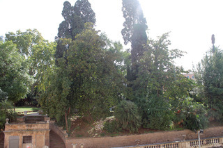 Hotel Fiori