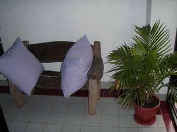 Posada Anthurium Inn