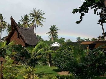 Hotel White Chocolate Hills Resort
