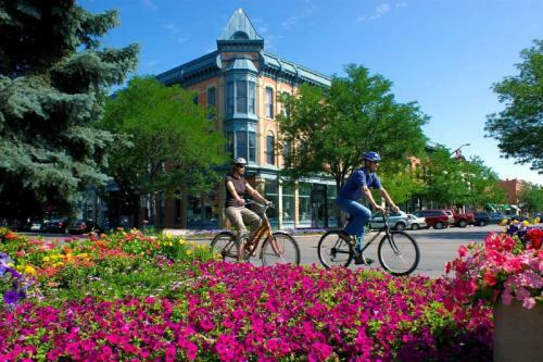 Carriage House Walk To Unc + Free Bikes