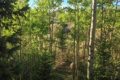 Secluded Log Cabin With Game Room And Forest Views!