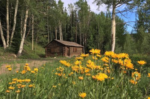 Epic Smart Home Near Keystone, Copper, Breck, Vail