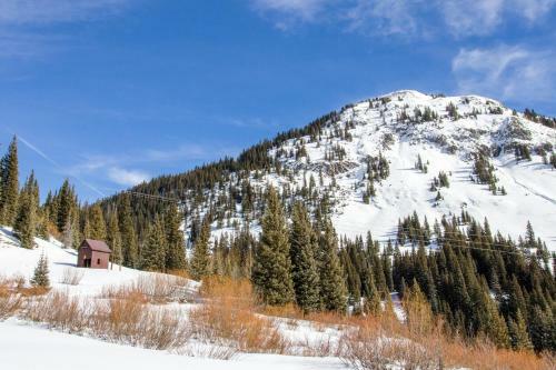 Telluride Town Jewel