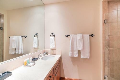 Apartamento Tristant 115 By Exceptional Stays