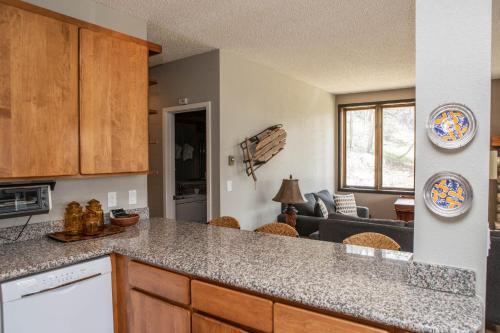 Apartamento Sun Vail Condos 11a Condo