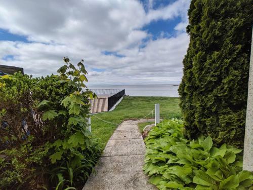 Beach House