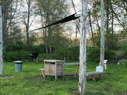 Tentrr Signature Site - Meadow Ridge Farm Meadow