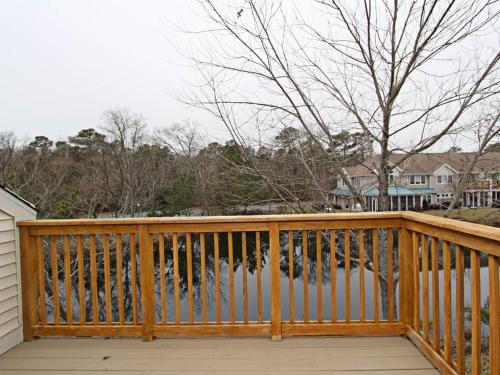 Sea Colony Pine Branch II
