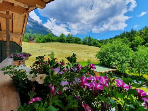 Apartamento Almapparthotel Haflingertr�nke