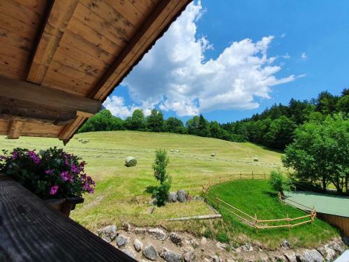 Apartamento Almapparthotel Haflingertr�nke