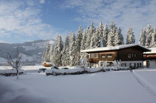 Hostal Pension Apartment Steiner