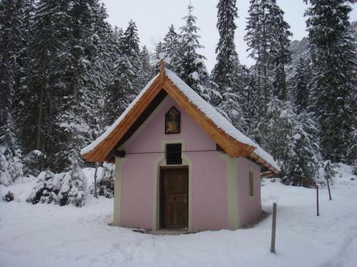 Hostal Pension Apartment Steiner