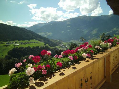 Apartamento Blasinghof