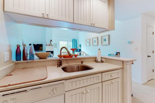 Sea Colony Sanddollar