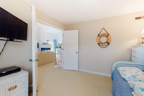 Sea Colony Sanddollar