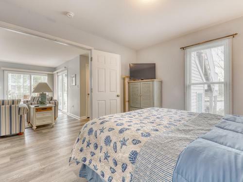 Sea Colony Sanddollar