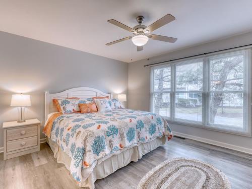 Sea Colony Sanddollar