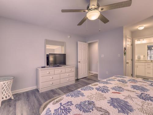 Sea Colony Sanddollar