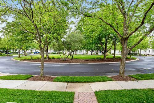 Bear Trap Dunes - 70 Willow Oak