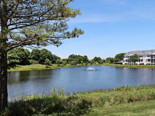 Bear Trap Dunes - 10 Sycamore