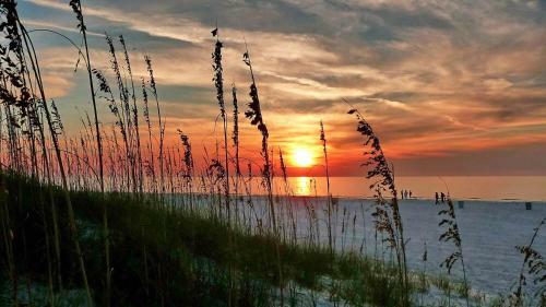 Mariner's Pointe - Classy Condo, Steps To Beach, Large Balcony