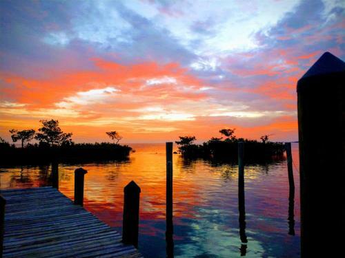 Hotel Conch Key Fishing Lodge & Marina