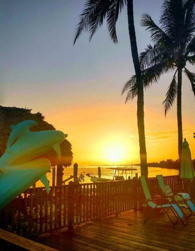 Hotel Conch Key Fishing Lodge & Marina