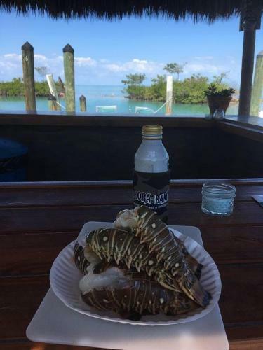 Hotel Conch Key Fishing Lodge & Marina