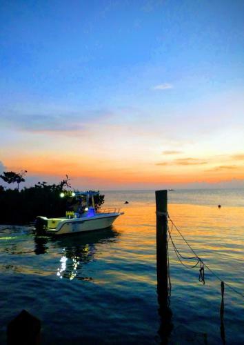 Hotel Conch Key Fishing Lodge & Marina