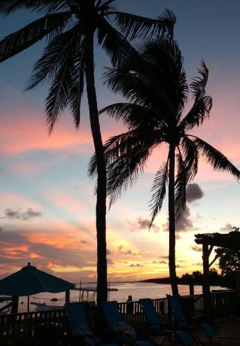 Hotel Conch Key Fishing Lodge & Marina