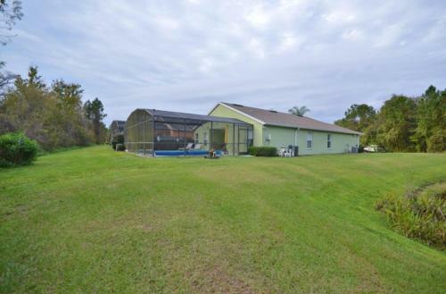 Extravaganza Pool Disney Cottage