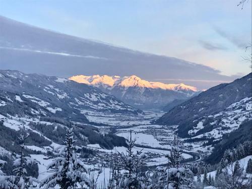 Kama Alm