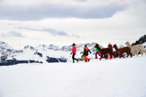 Hotel Alpenresort Walsertal