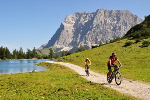 Hotel Alpen Residence