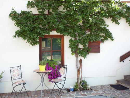 Apartment Zuntl Ehrwald