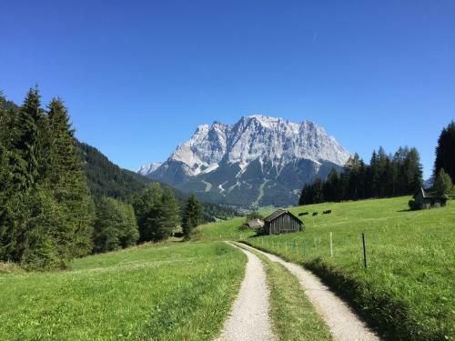 Hotel Alpin