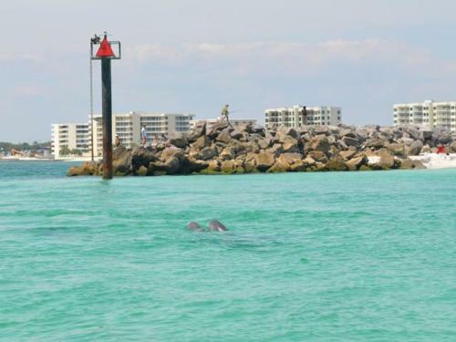 Apartamento Gulf Shore Condo #519